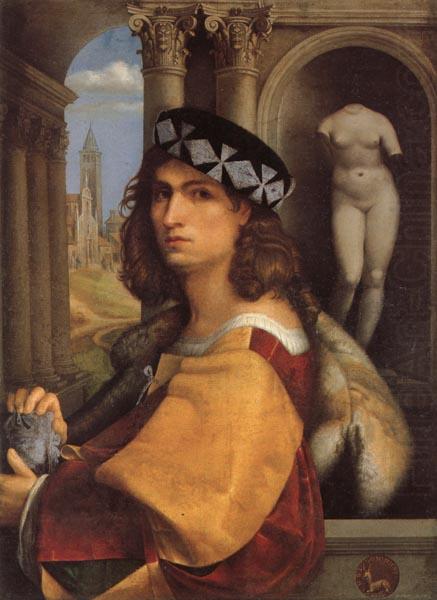 Portrait of a Gentleman, CAPRIOLO, Domenico